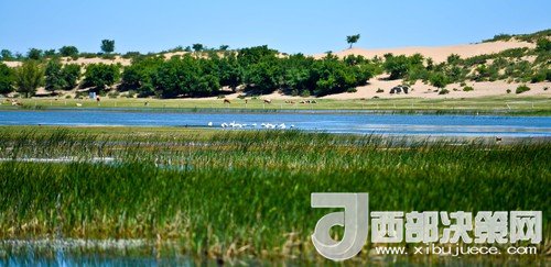 阿魯科爾沁保護(hù)區(qū)濕地沙丘。吳勇攝