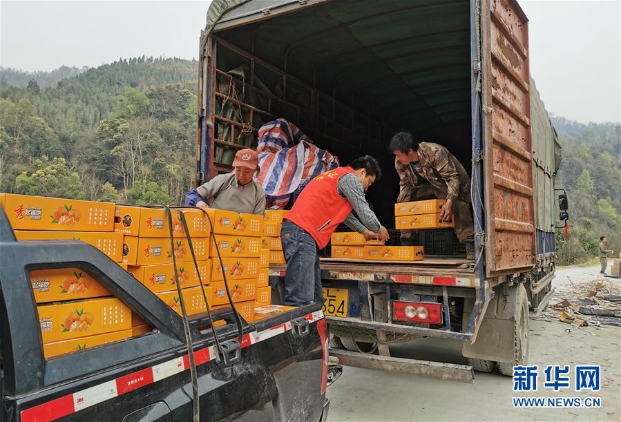 (決戰(zhàn)決勝脫貧攻堅·圖文互動)(6)另一種“逆行”——廣西5300余名駐村第一書記提前返崗?fù)渡怼皟删€作戰(zhàn)”