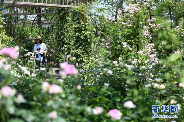 (新華視界)(5)樂(lè)享“五一”假期