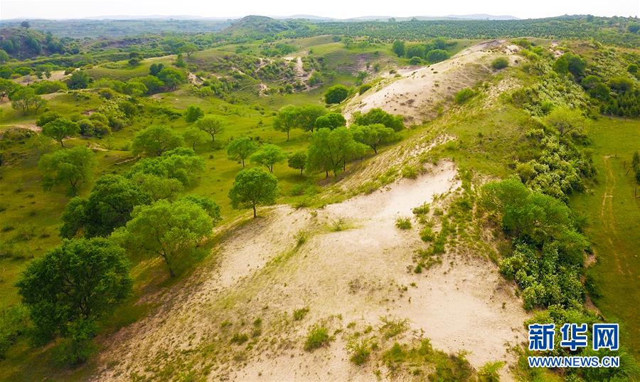 (新華全媒頭條·圖文互動)(7)京津最近“大沙盆”逆轉記