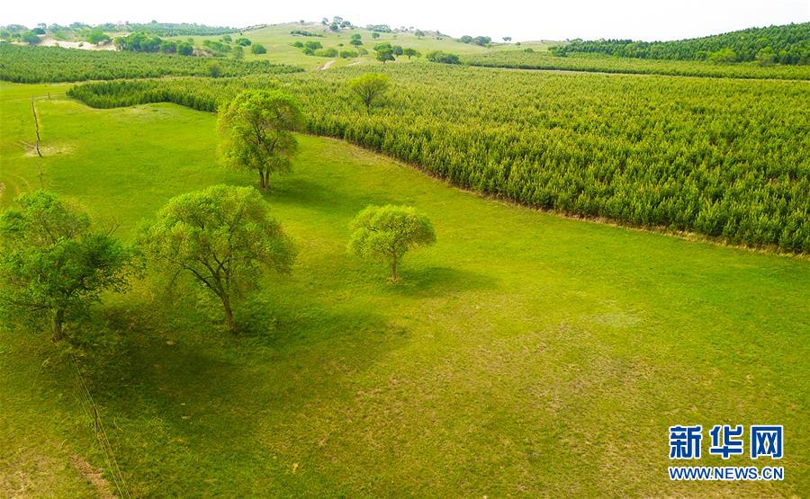 (新華全媒頭條·圖文互動)(1)京津最近“大沙盆”逆轉記