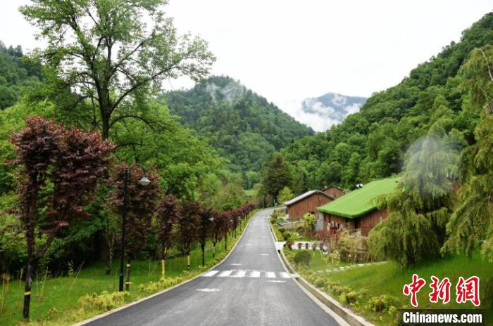 九寨溝熊貓園外景?！【耪瘻峡h委宣傳部提供 攝