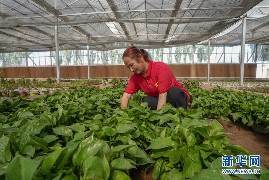 (新華全媒頭條·圖文互動)(11)旗引天山南北 譜寫發(fā)展新篇——以習(xí)近平同志為核心的黨中央關(guān)心新疆工作紀實