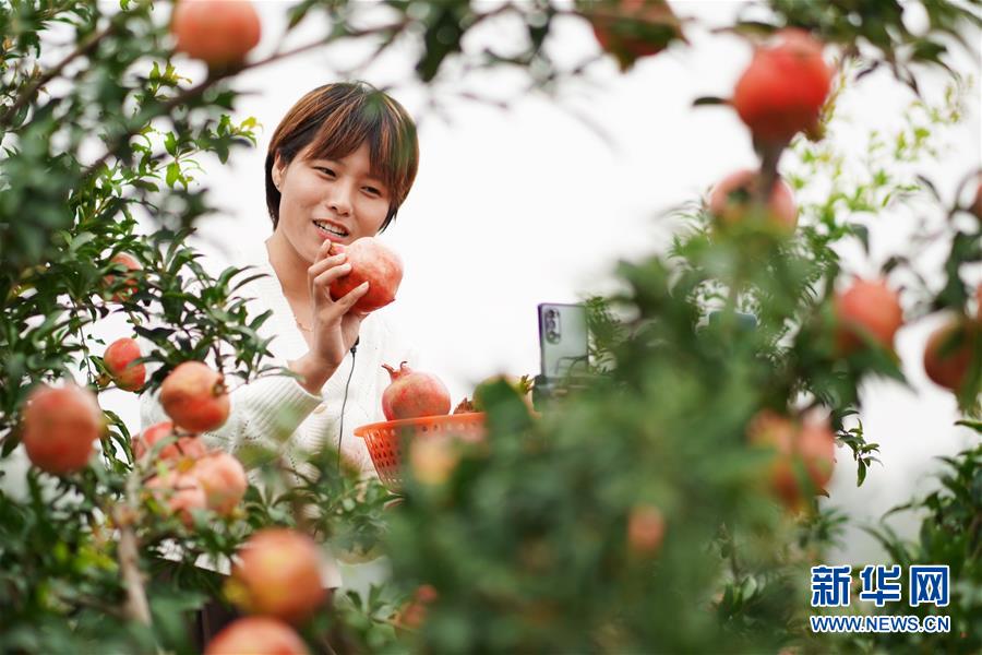 (新華全媒頭條·圖文互動(dòng))(12)流動(dòng)中國折射復(fù)蘇新氣象——透視“十一”黃金周