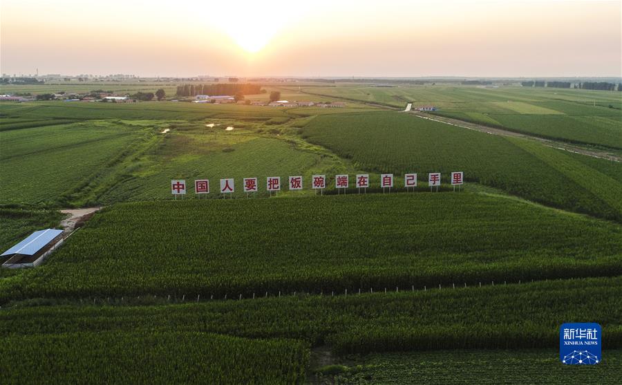 （新華全媒頭條·圖文互動）（7）習(xí)近平關(guān)心關(guān)懷勞動者的故事
